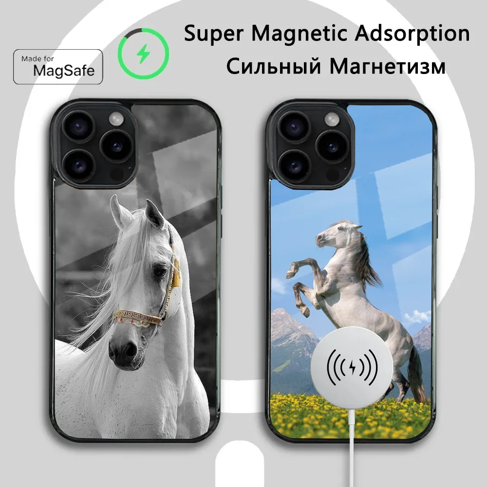 Animal Galloping Horse Phone Case For iPhone 16 15 14 13 12 11 Plus,Pro,Max Mini Magsafe Magnetic Wireless Charging
Animal Galloping Horse Phone Case For iPhone 16 15 14 13 12 11 Plus,Pro,Max Mini Magsafe Magnetic Wireless Charging