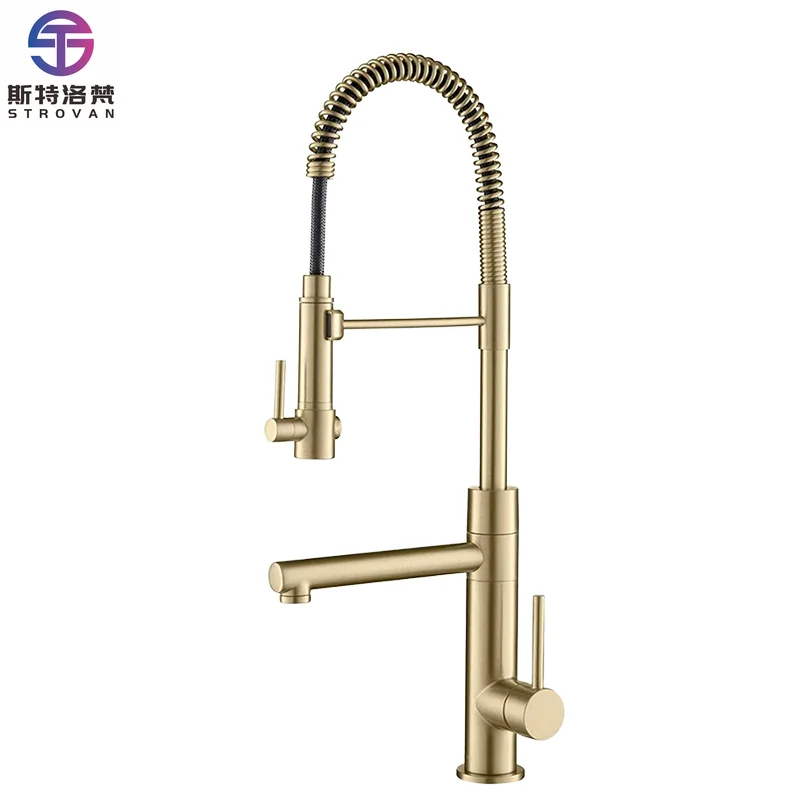 FEIDU Luxury Design Brass Single-Handle Deck-Mounted Kitchen Sink Faucet with Spring-Type Pull-Down Sprayer
FEIDU Luxury Design Brass Single-Handle Deck-Mounted Kitchen Sink Faucet with Spring-Type Pull-Down Sprayer