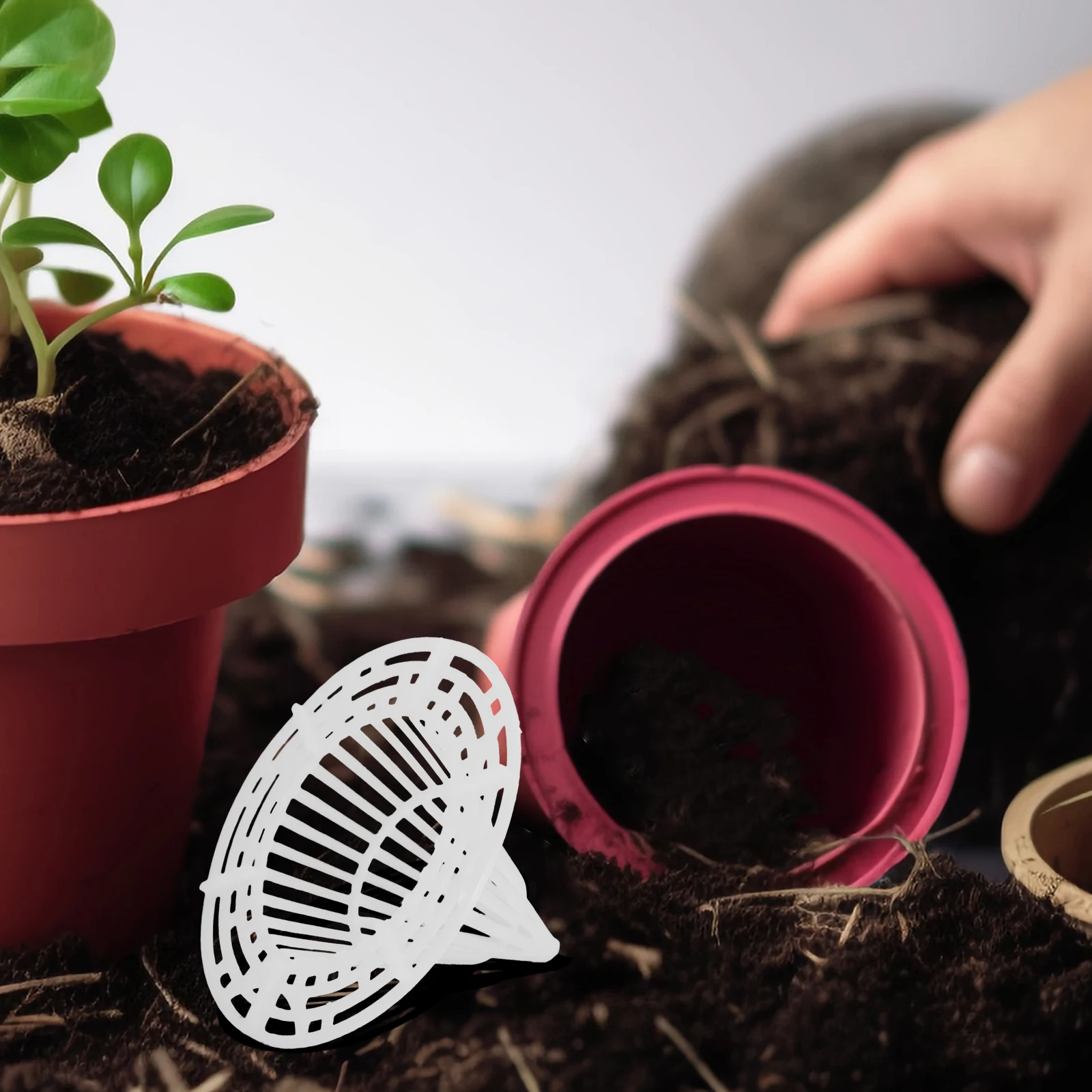 50 Pcs Planter Hole Mesh Mat Flowerpot Spacer Bonsai Bottom Mats Waterproof Pads Indoor Plastic Pot Net Garden Mesh Soil
50 Pcs Planter Hole Mesh Mat Flowerpot Spacer Bonsai Bottom Mats Waterproof Pads Indoor Plastic Pot Net Garden Mesh Soil