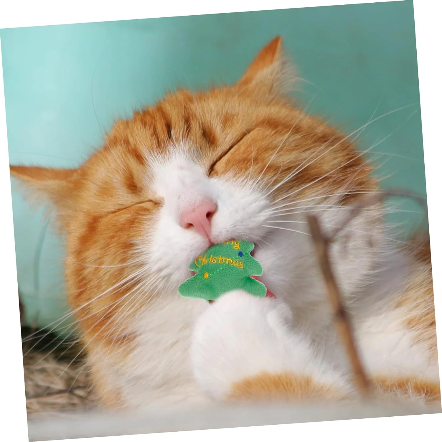 Soft, Interactive Christmas Cat and Dog Toy Set - Engaging and Fun for Biting and Chewing - Includes Squishy Santa Stuffed Puppy
Soft, Interactive Christmas Cat and Dog Toy Set - Engaging and Fun for Biting and Chewing - Includes Squishy Santa Stuffed Puppy