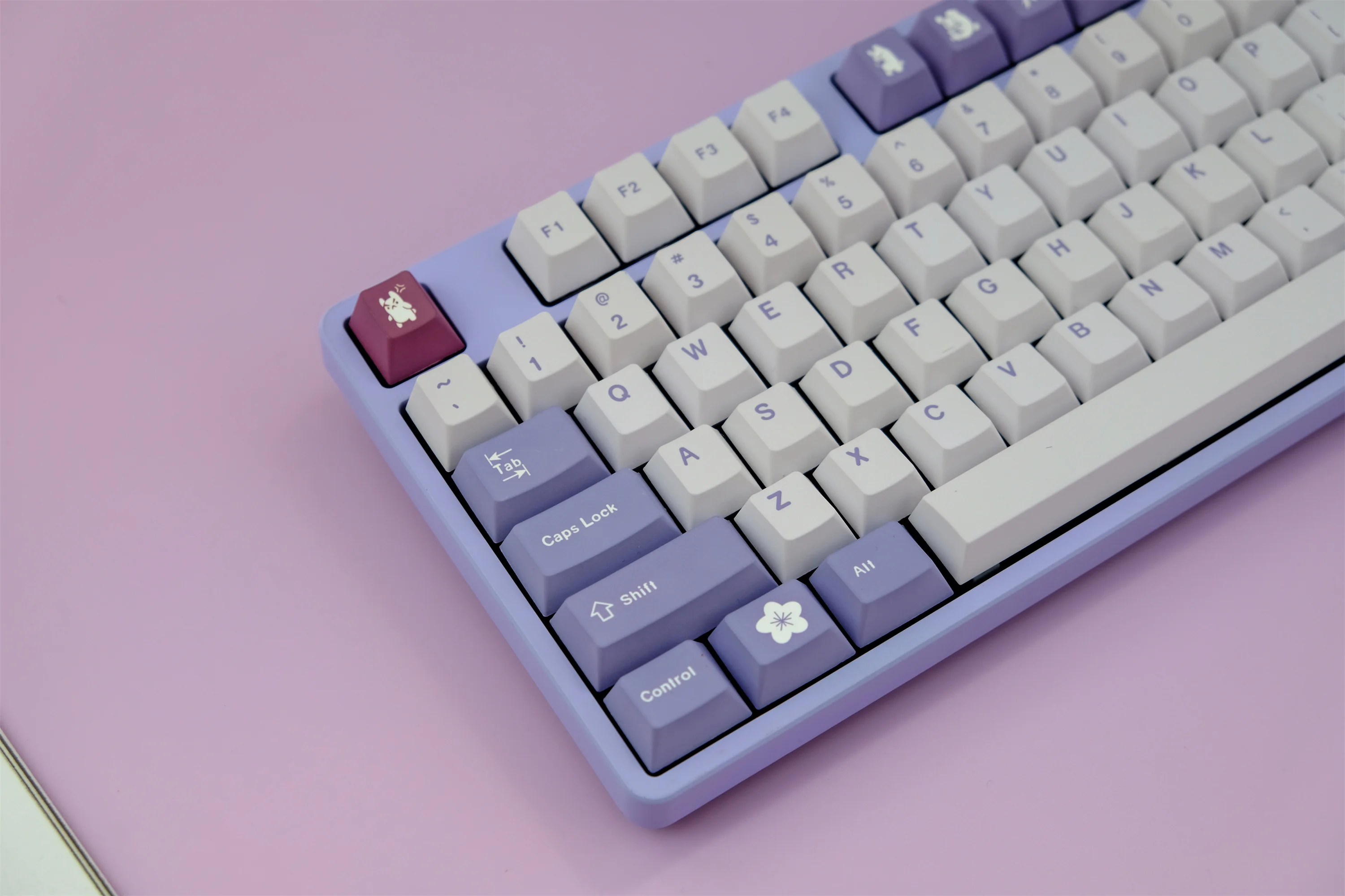 GMK Rabbit Keycaps Set 134 Keys PBT Material Cherry Profile DYE-SUB Personalized Keycapa For Fits MX Switch Mechanical Keyboard
GMK Rabbit Keycaps Set 134 Keys PBT Material Cherry Profile DYE-SUB Personalized Keycapa For Fits MX Switch Mechanical Keyboard