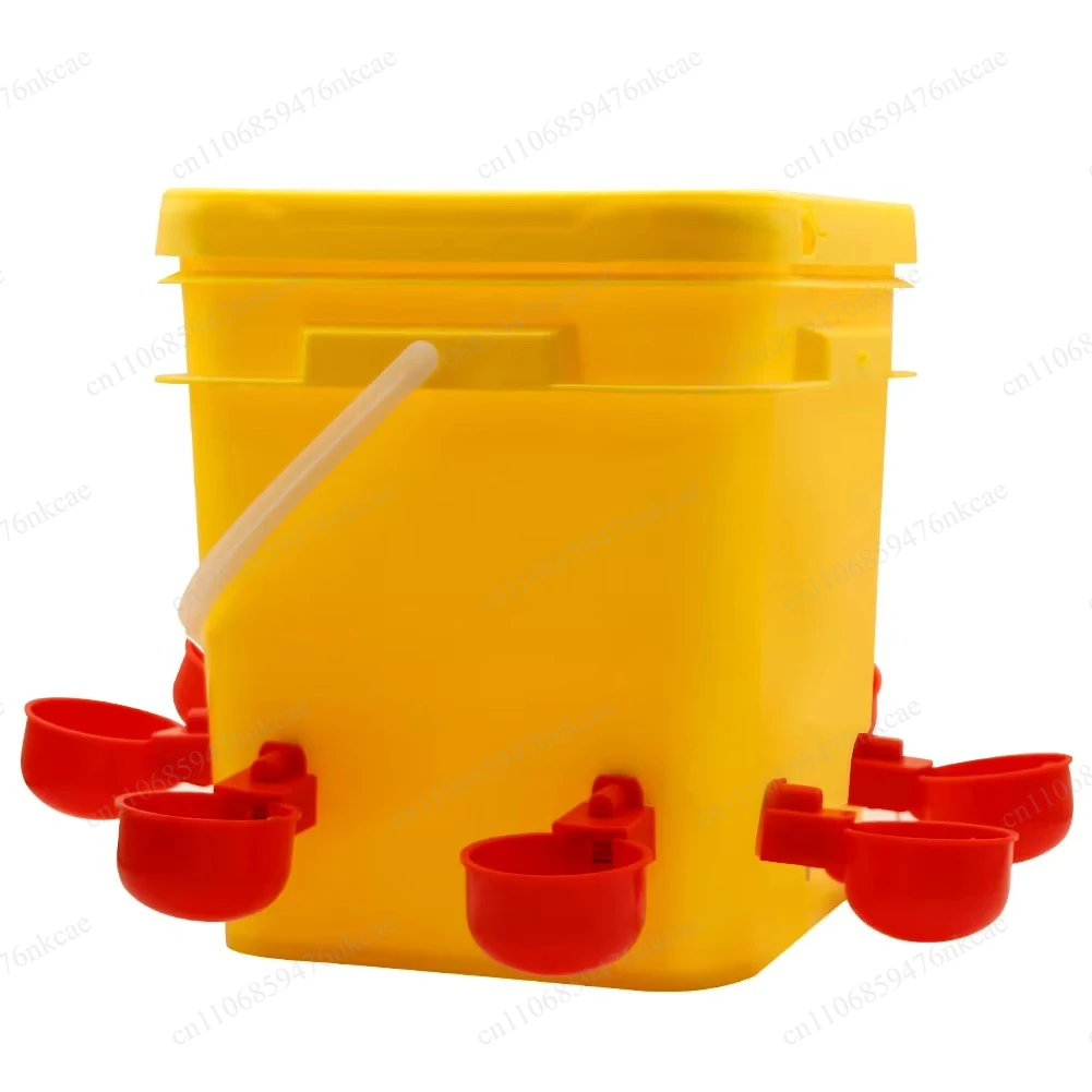 10L plastic automatic chicken drinker with bucket automatic chicken feeder
10L plastic automatic chicken drinker with bucket automatic chicken feeder