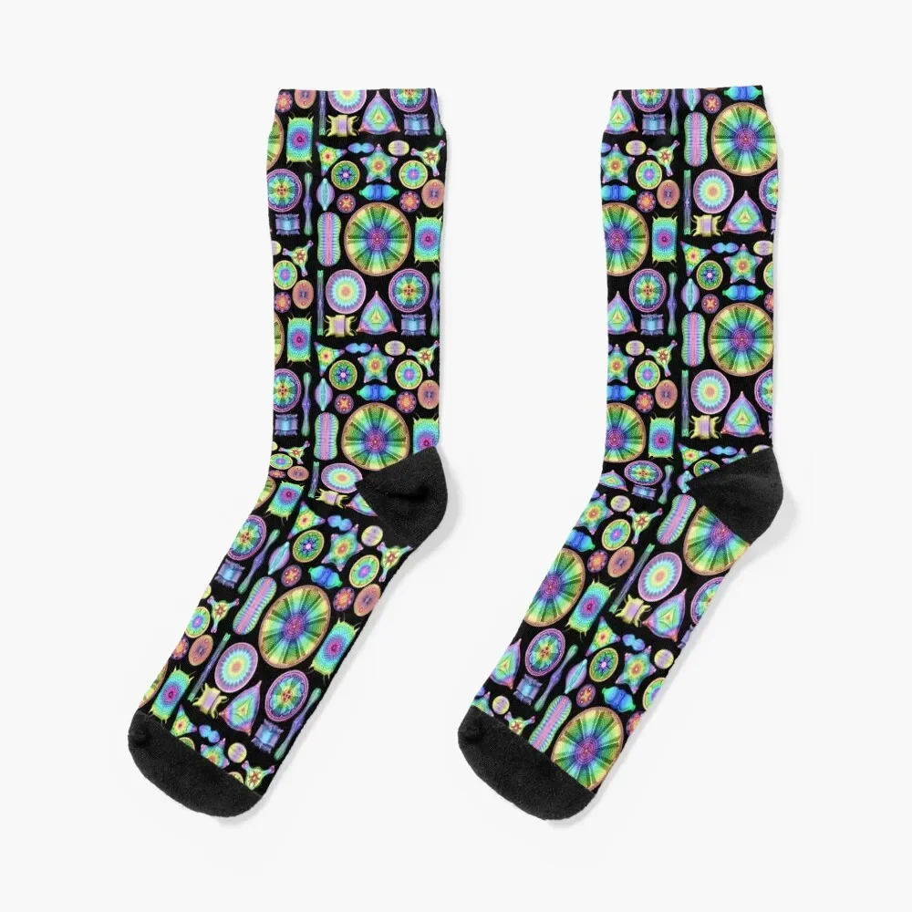 Ernst Haeckel Rainbow Diatoms on Black Socks loose fashionable Socks Male Women's
Ernst Haeckel Rainbow Diatoms on Black Socks loose fashionable Socks Male Women's
