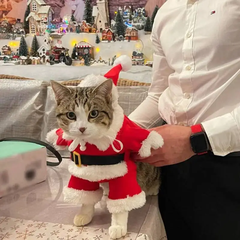 Christmas Costumes Cute Kitten Clothes For Small Medium Dogs Cats Party Pet Funny Santa Claus Dress
Christmas Costumes Cute Kitten Clothes For Small Medium Dogs Cats Party Pet Funny Santa Claus Dress