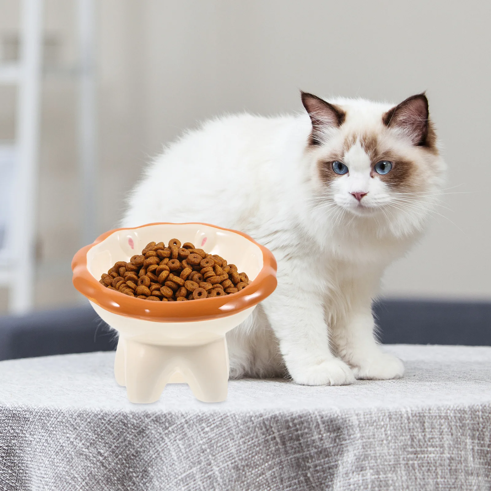 Ceramic Cat Bowl Raised Ergonomic Design Sturdy Flat Bottom Washable Pet Food Container Non-Slip Surface Ideal Gift for Cats
Ceramic Cat Bowl Raised Ergonomic Design Sturdy Flat Bottom Washable Pet Food Container Non-Slip Surface Ideal Gift for Cats