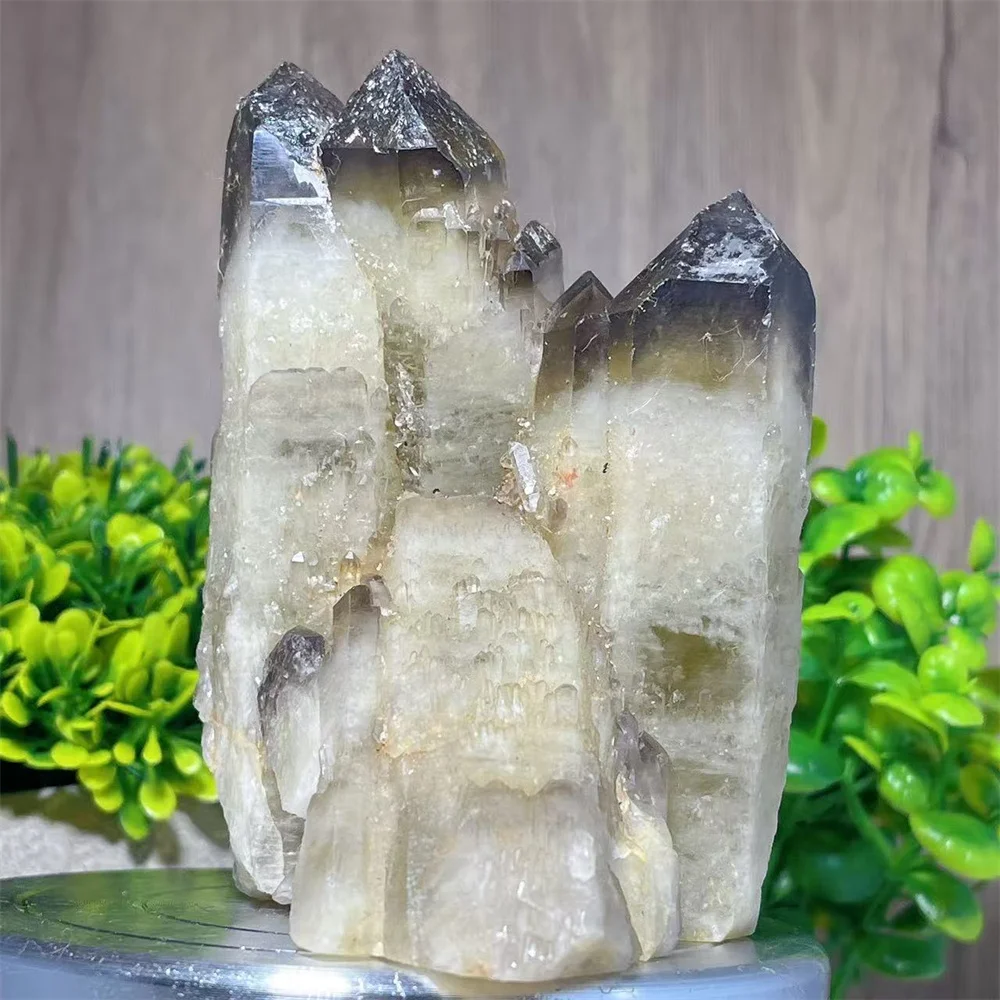 Smoeky Quartz Cluster Secimen Stone Ore Raw Crystal Natural Reiki Mineral Spiritual Specimen Flash Reiki Home Decoration
Smoeky Quartz Cluster Secimen Stone Ore Raw Crystal Natural Reiki Mineral Spiritual Specimen Flash Reiki Home Decoration