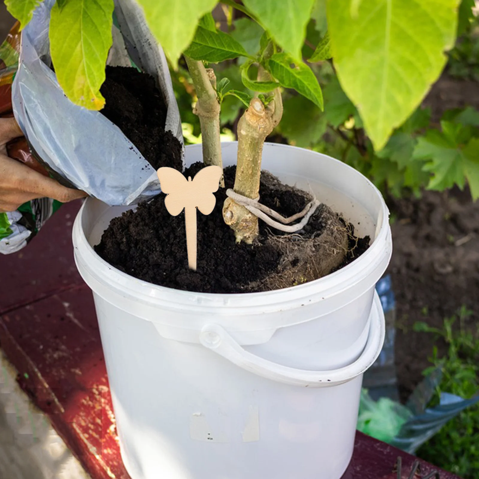 50 шт. деревянные этикетки для растений, садовые маркеры, устойчивые к атмосферным воздействиям, травы, овощи, сочные цветочные горшки, бирки для дома и улицы
50 шт. деревянные этикетки для растений, садовые маркеры, устойчивые к атмосферным воздействиям, травы, овощи, сочные цветочные горшки, бирки для дома и улицы