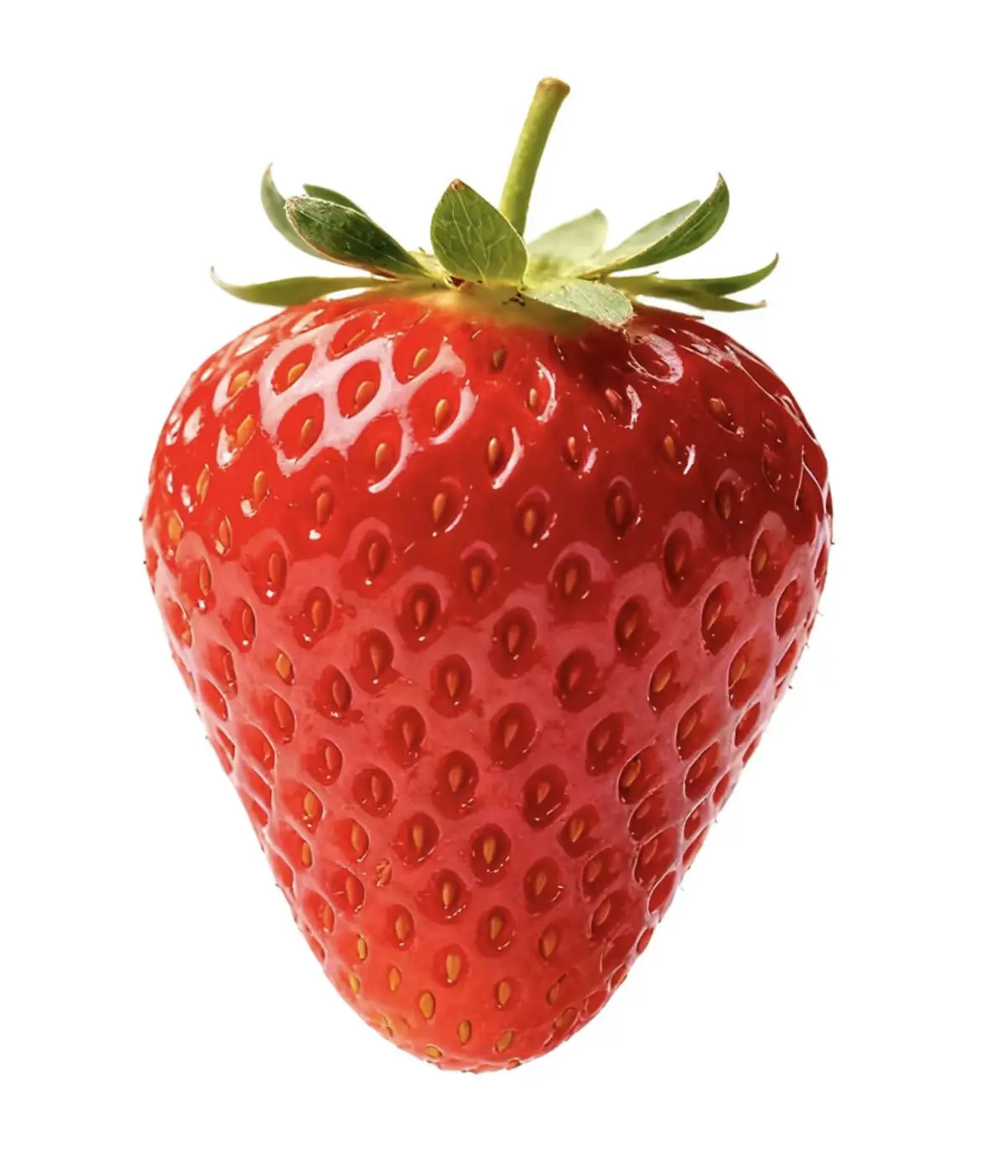 16951815Price difference compensation link
16951815Price difference compensation link