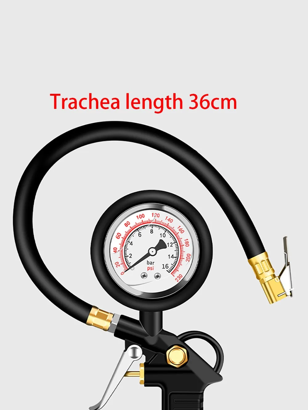 Car tire pressure monitoring instrument inflation gun
Car tire pressure monitoring instrument inflation gun