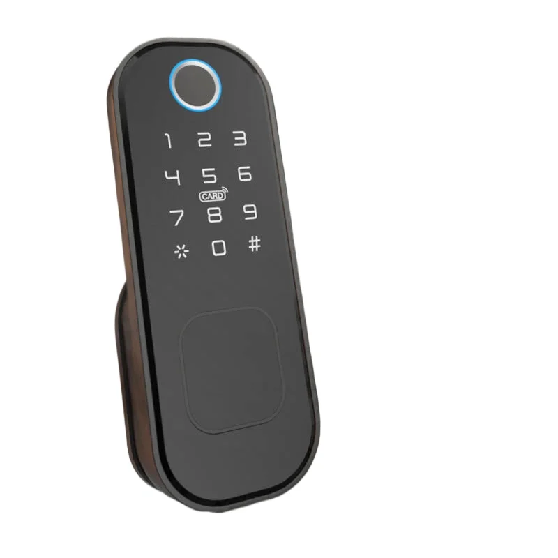 Electronic Door Lock for Apartment Iron Door No Wiring Required RFID Card Access Fingerprint Recognition Anti Theft Door Lock
Electronic Door Lock for Apartment Iron Door No Wiring Required RFID Card Access Fingerprint Recognition Anti Theft Door Lock