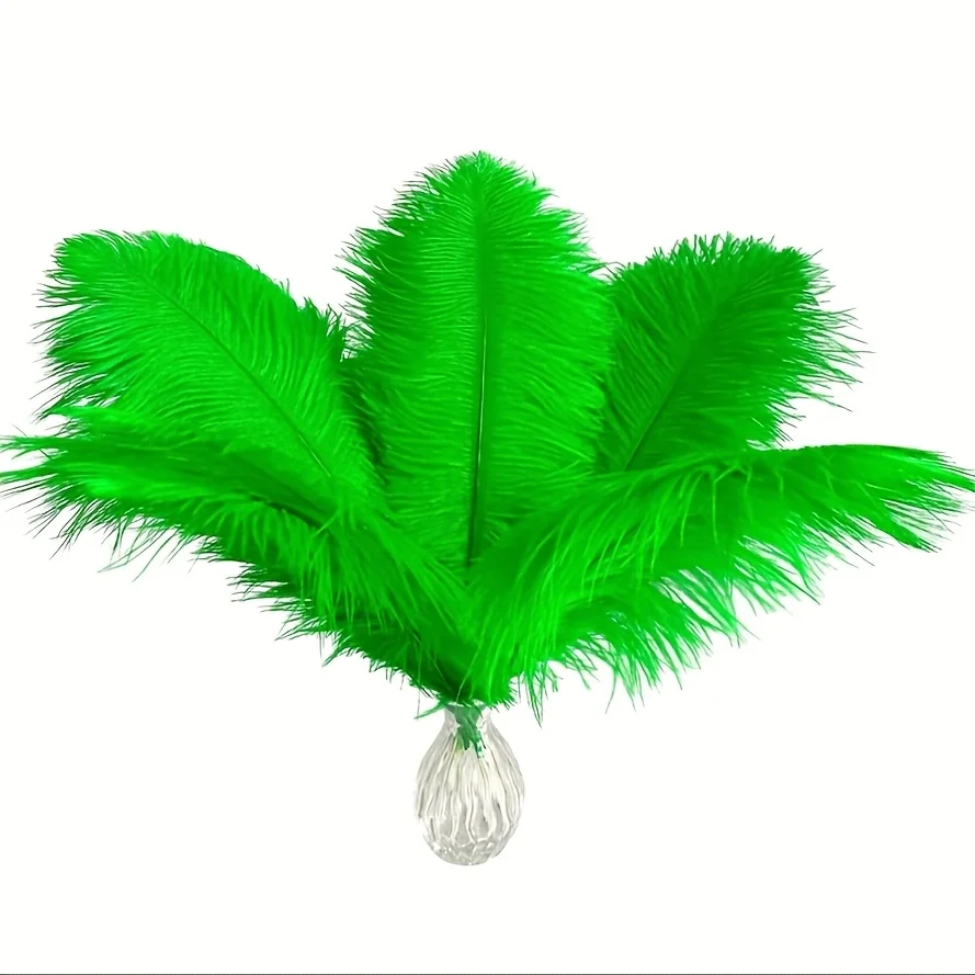 10Pcs Ostrich Feathers Fruit Green Feather for DIY Crafts Wedding Decorations Carnival Handicraft Accessories
10Pcs Ostrich Feathers Fruit Green Feather for DIY Crafts Wedding Decorations Carnival Handicraft Accessories