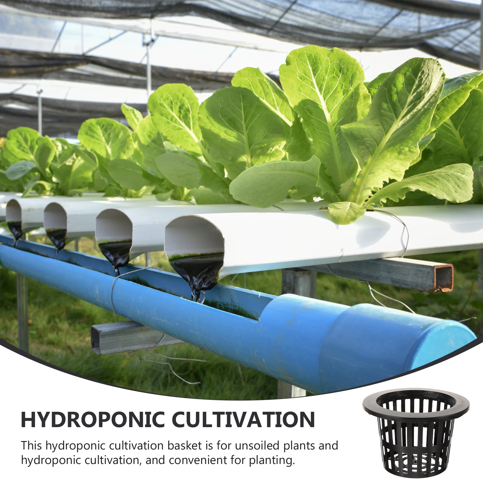 10 Pcs Hydroponic Planting Basket Planter Pots Hydroponics Net Cup Cups Plastic Flowerpot Plants
10 Pcs Hydroponic Planting Basket Planter Pots Hydroponics Net Cup Cups Plastic Flowerpot Plants