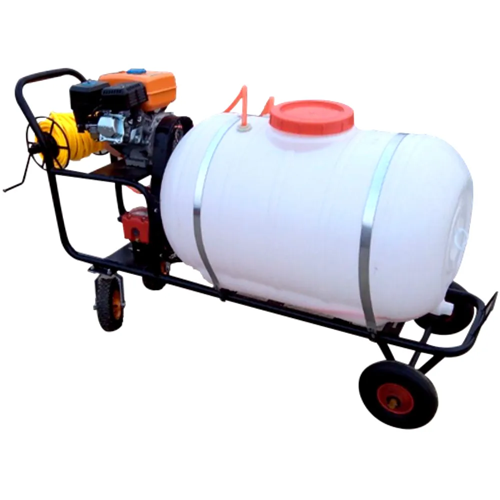 Agricultural Garden Sprayer Push-type Spraying Machine
Agricultural Garden Sprayer Push-type Spraying Machine