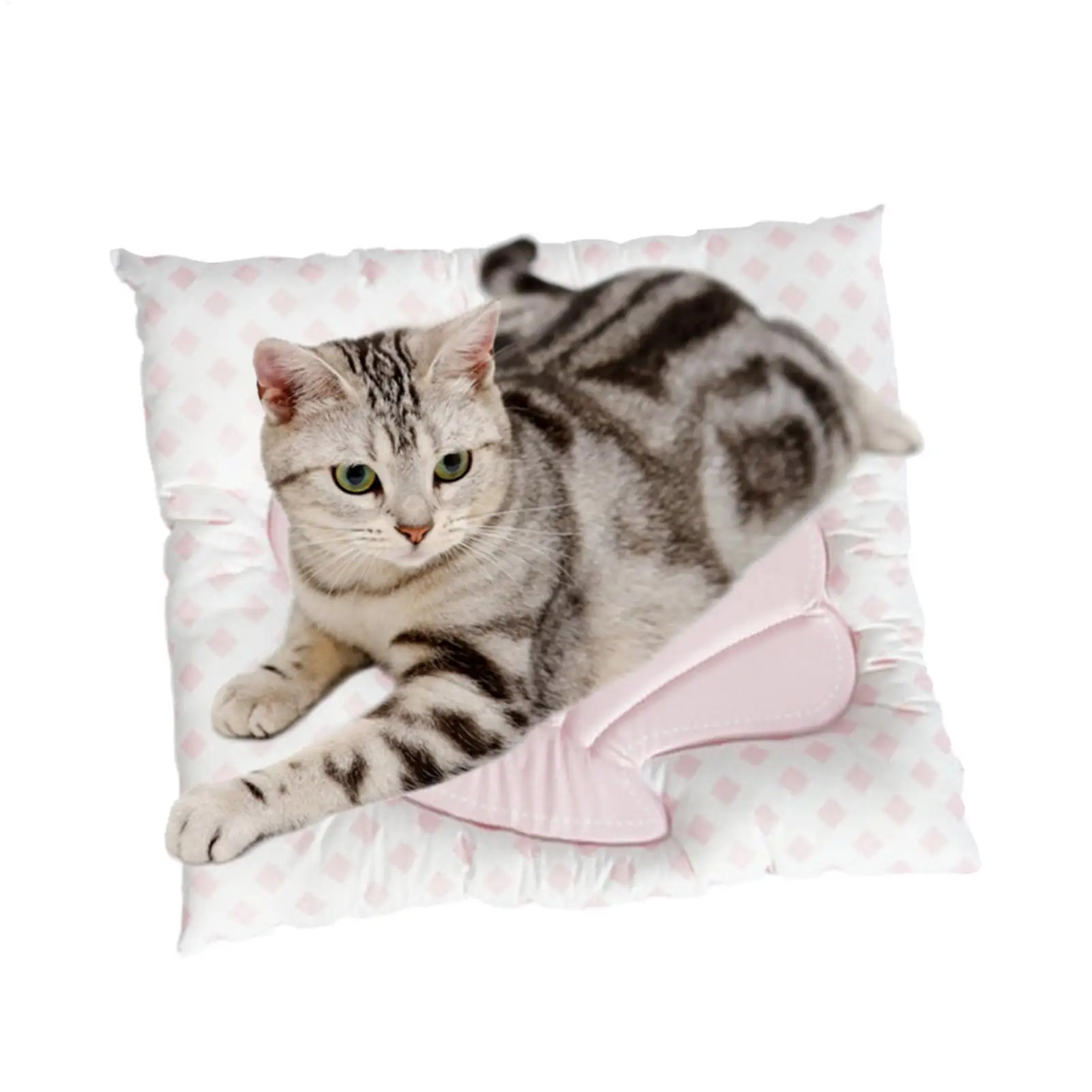 Dog Cooling Mat Comfortable Reusable Portable Play Pad Summer Sleeping Mat For Pets Puppy Rabbits Animal Summer Outdoor Outside
Dog Cooling Mat Comfortable Reusable Portable Play Pad Summer Sleeping Mat For Pets Puppy Rabbits Animal Summer Outdoor Outside