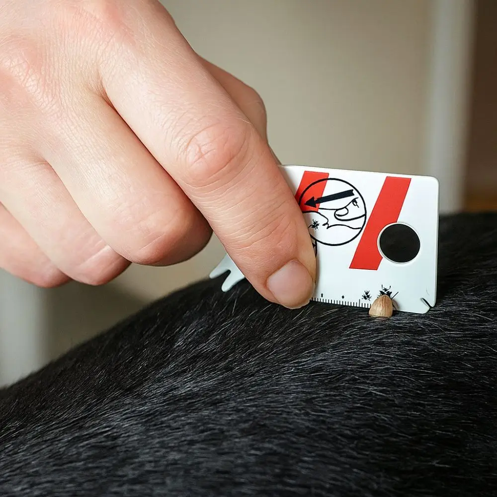 Portable Professional Pet Tick Card Effective Plastic Portable Tick Card Safe Pets Lice Remover Pets Lover
Portable Professional Pet Tick Card Effective Plastic Portable Tick Card Safe Pets Lice Remover Pets Lover