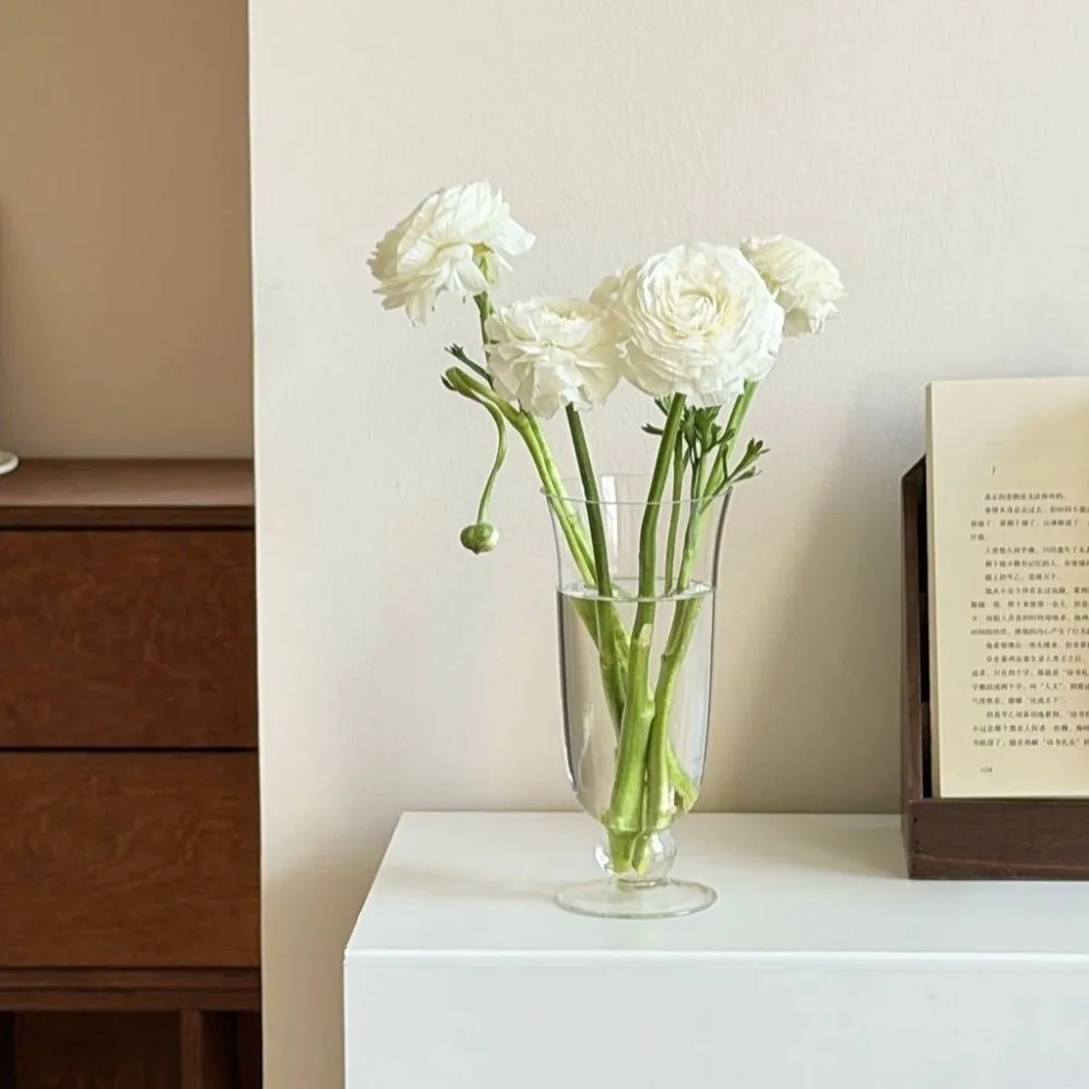 Transparent Glass Flower Vase High Temperature Resistant Light-transmitting Flower Holder Minimalist
Transparent Glass Flower Vase High Temperature Resistant Light-transmitting Flower Holder Minimalist