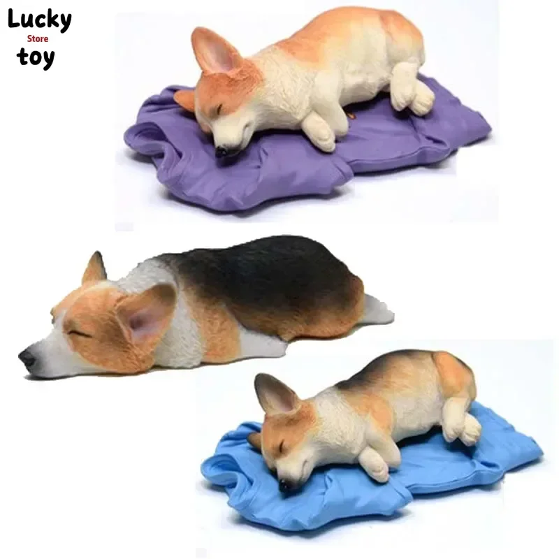 1/6 Solider Toys Sleeping Corgi Model Lovely Pet Model For 12in Action Figure Pet Dog Model Collection Hobbies
1/6 Solider Toys Sleeping Corgi Model Lovely Pet Model For 12in Action Figure Pet Dog Model Collection Hobbies