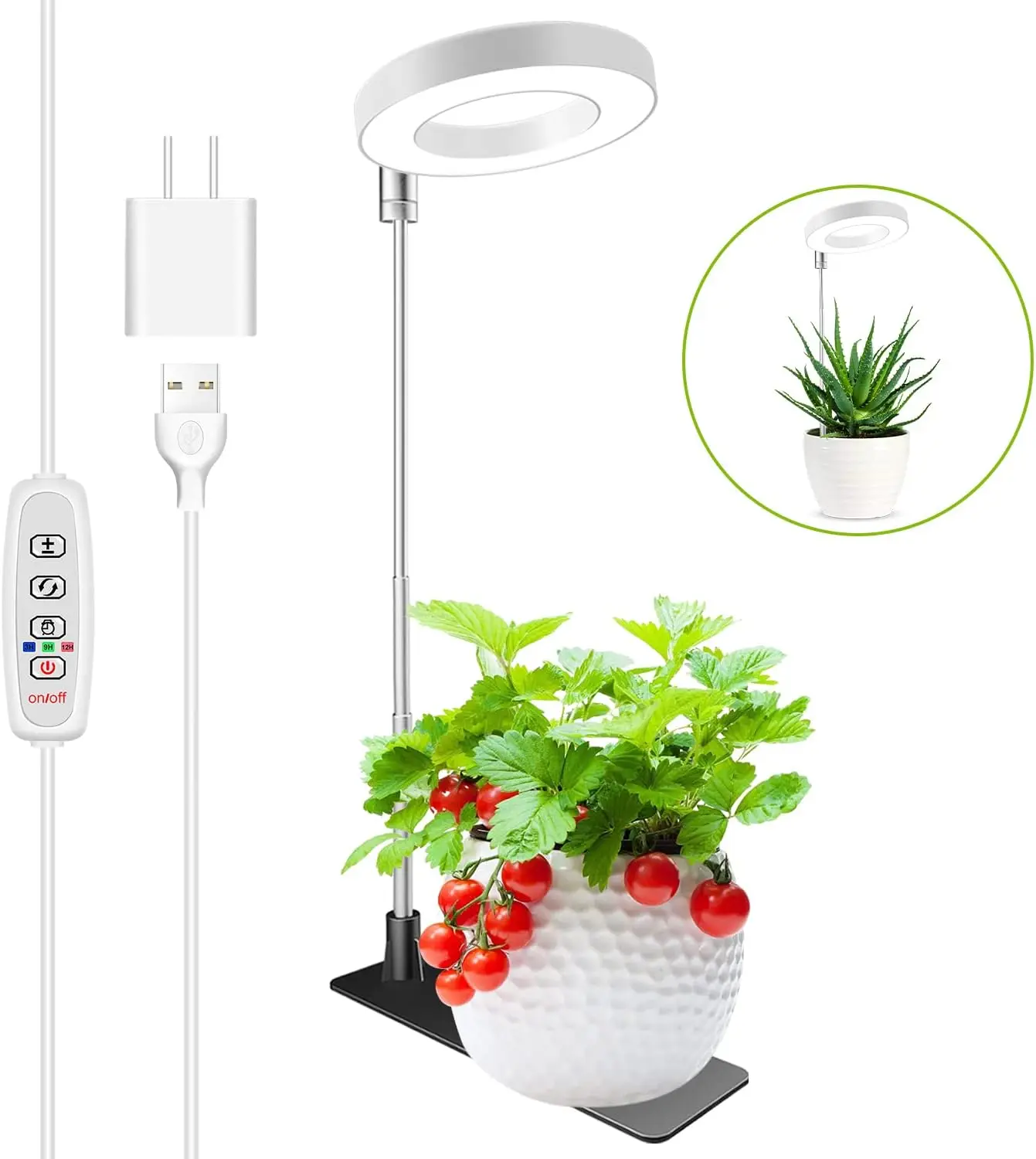 Full Spectrum Halo Grow Light for Indoor Plants, Height Adjustable, 3 Colors, 10 Dimming, Auto Timer
Full Spectrum Halo Grow Light for Indoor Plants, Height Adjustable, 3 Colors, 10 Dimming, Auto Timer