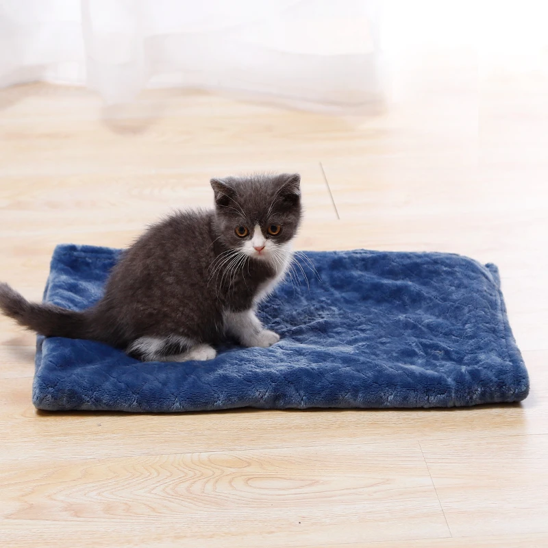 Coral Fleece Velvet Small Bed Blanket For Dogs And Sleeping Mat For Cats Pet Supplies
Coral Fleece Velvet Small Bed Blanket For Dogs And Sleeping Mat For Cats Pet Supplies