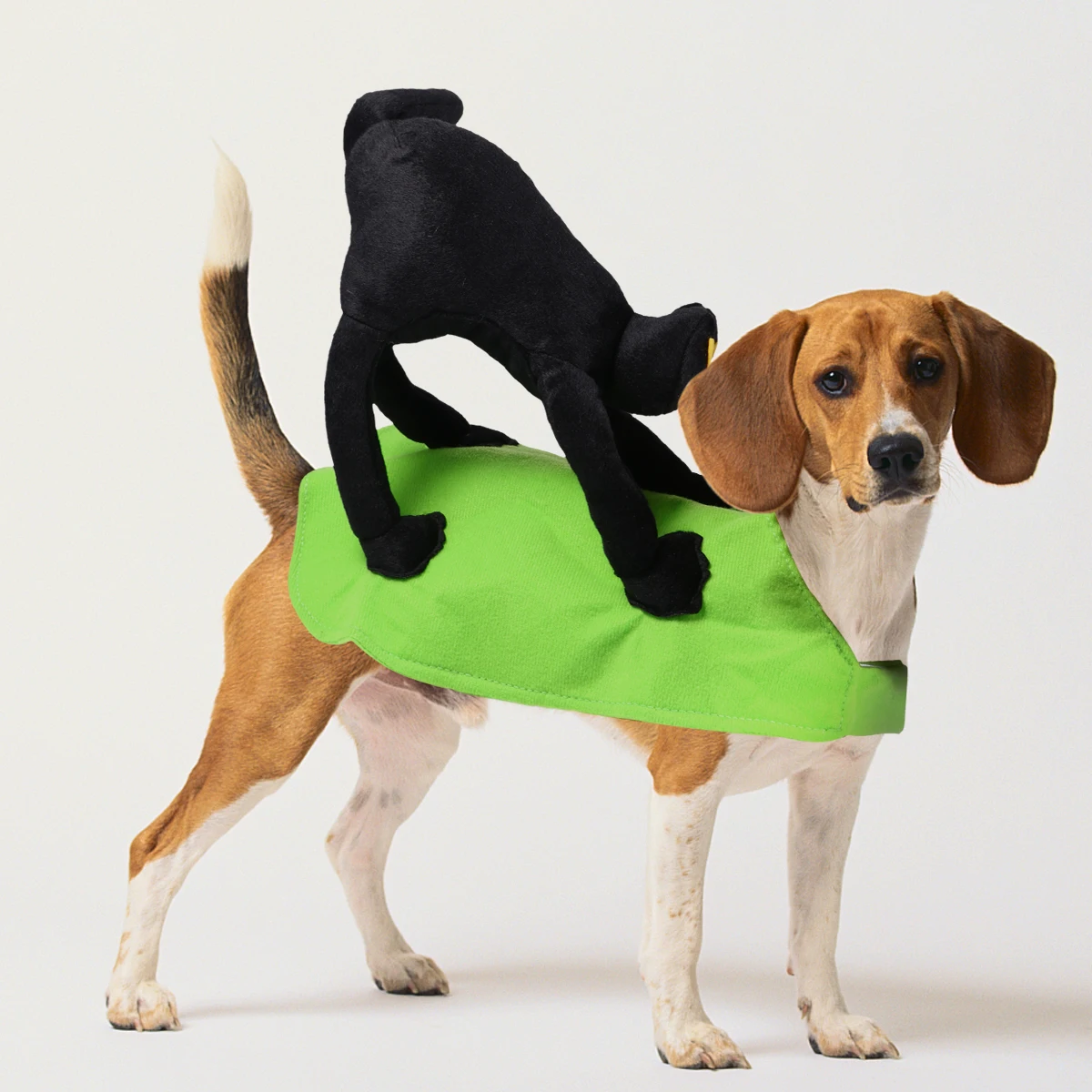 Pet Dog Costume Riding Cloak Halloween Cosplay Small Design Black Cat Pet Clothes Party Wear Dog Jacket Festival Outfit
Pet Dog Costume Riding Cloak Halloween Cosplay Small Design Black Cat Pet Clothes Party Wear Dog Jacket Festival Outfit