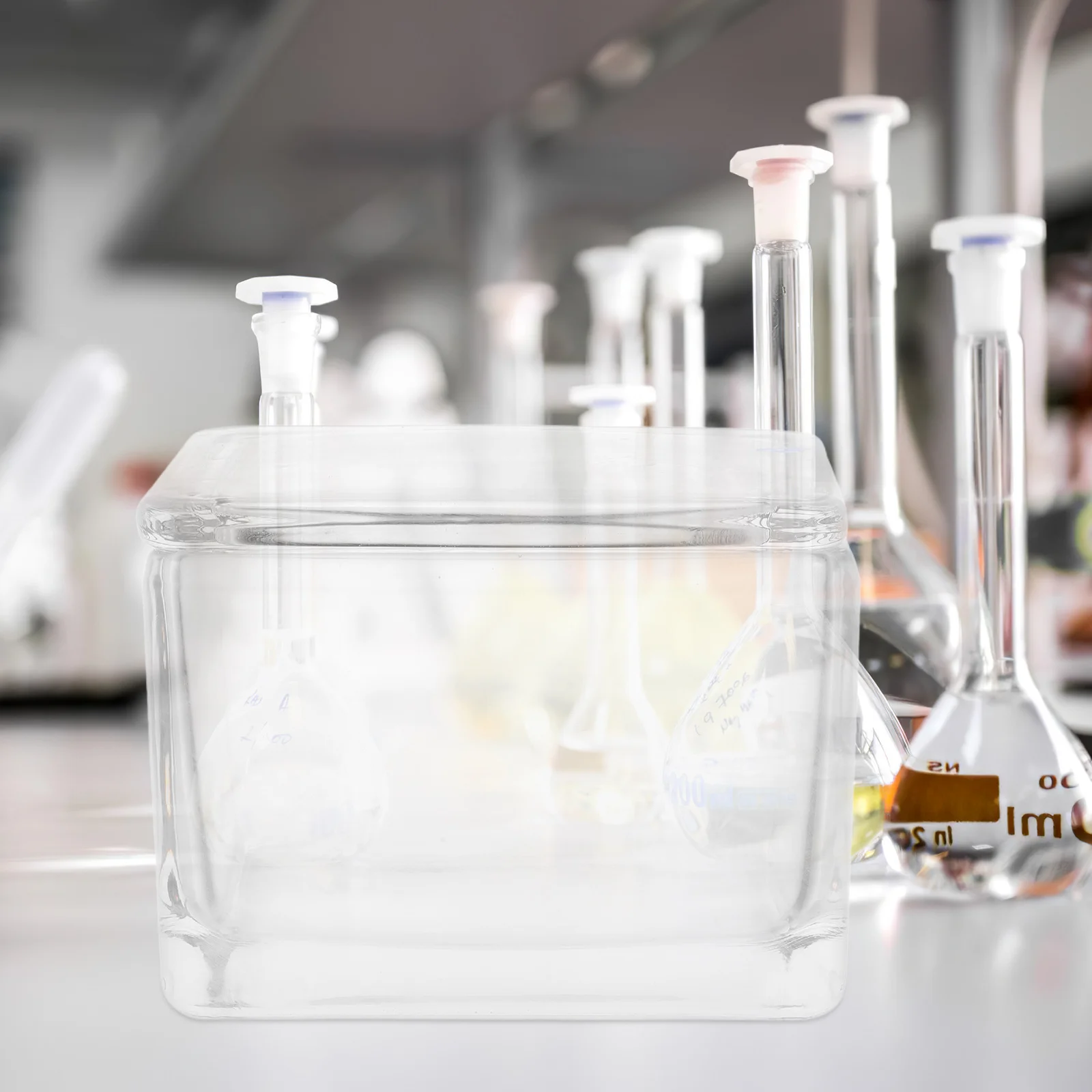 Glass Staining Jar Vertical Horizontal Rack for 20 Slides Laboratory Microscope Slide Staining Biology Medicine Histology
Glass Staining Jar Vertical Horizontal Rack for 20 Slides Laboratory Microscope Slide Staining Biology Medicine Histology