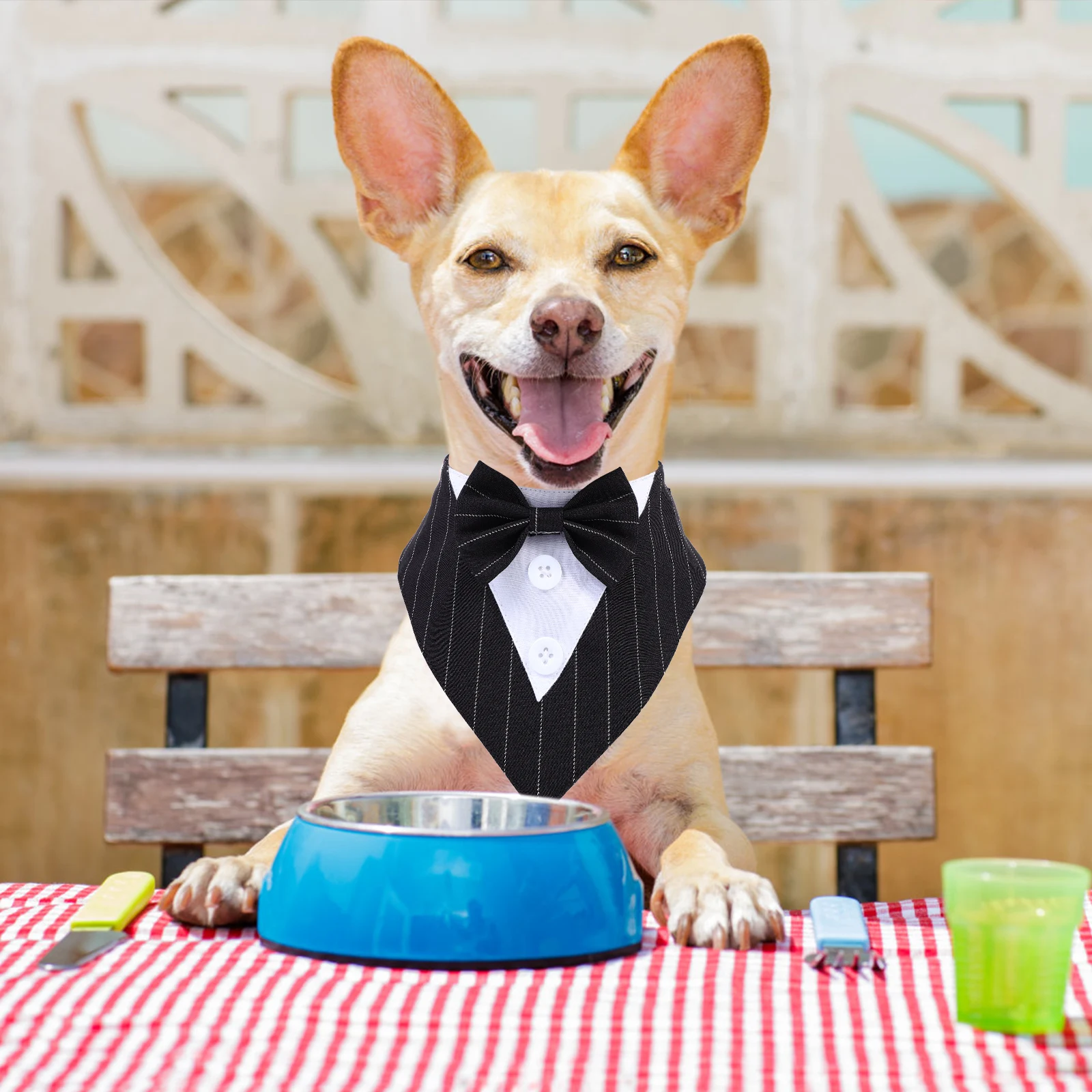 Pet Bandana Dog Collar Decorative Triangle Neck Cover Fashion Photo Gift Party Cat Dog Neckerchief Puppy Accessories Pet Saliva
Pet Bandana Dog Collar Decorative Triangle Neck Cover Fashion Photo Gift Party Cat Dog Neckerchief Puppy Accessories Pet Saliva