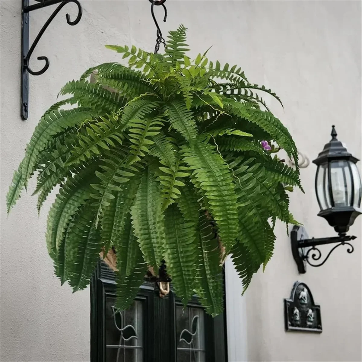 Reliable Ferns,Uv Resistant Lifelike Artificial Boston Fern,Artificial Boston Ferns for Outdoors,Artificial
Reliable Ferns,Uv Resistant Lifelike Artificial Boston Fern,Artificial Boston Ferns for Outdoors,Artificial