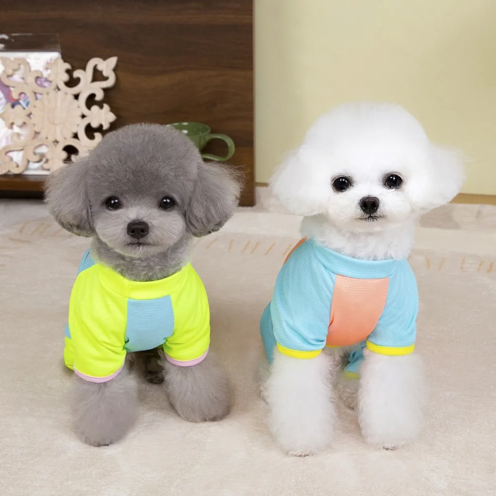 Creative Spring Summer Pet Dog T-shirt Comfortable Breathable Pet Pullover Four Legged Pet Clothes Pet Supplies
Creative Spring Summer Pet Dog T-shirt Comfortable Breathable Pet Pullover Four Legged Pet Clothes Pet Supplies