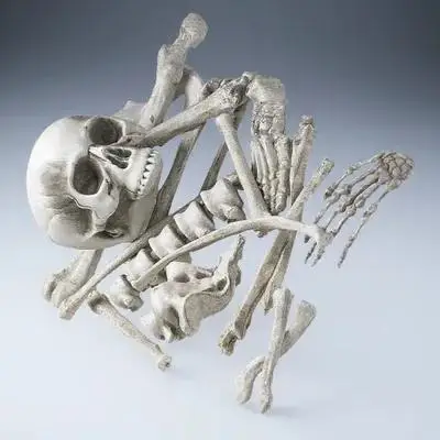 1Pack Plastic Bones Set Halloween Decoration Haunted House Prop Skull for Party Halloween Bones
1Pack Plastic Bones Set Halloween Decoration Haunted House Prop Skull for Party Halloween Bones