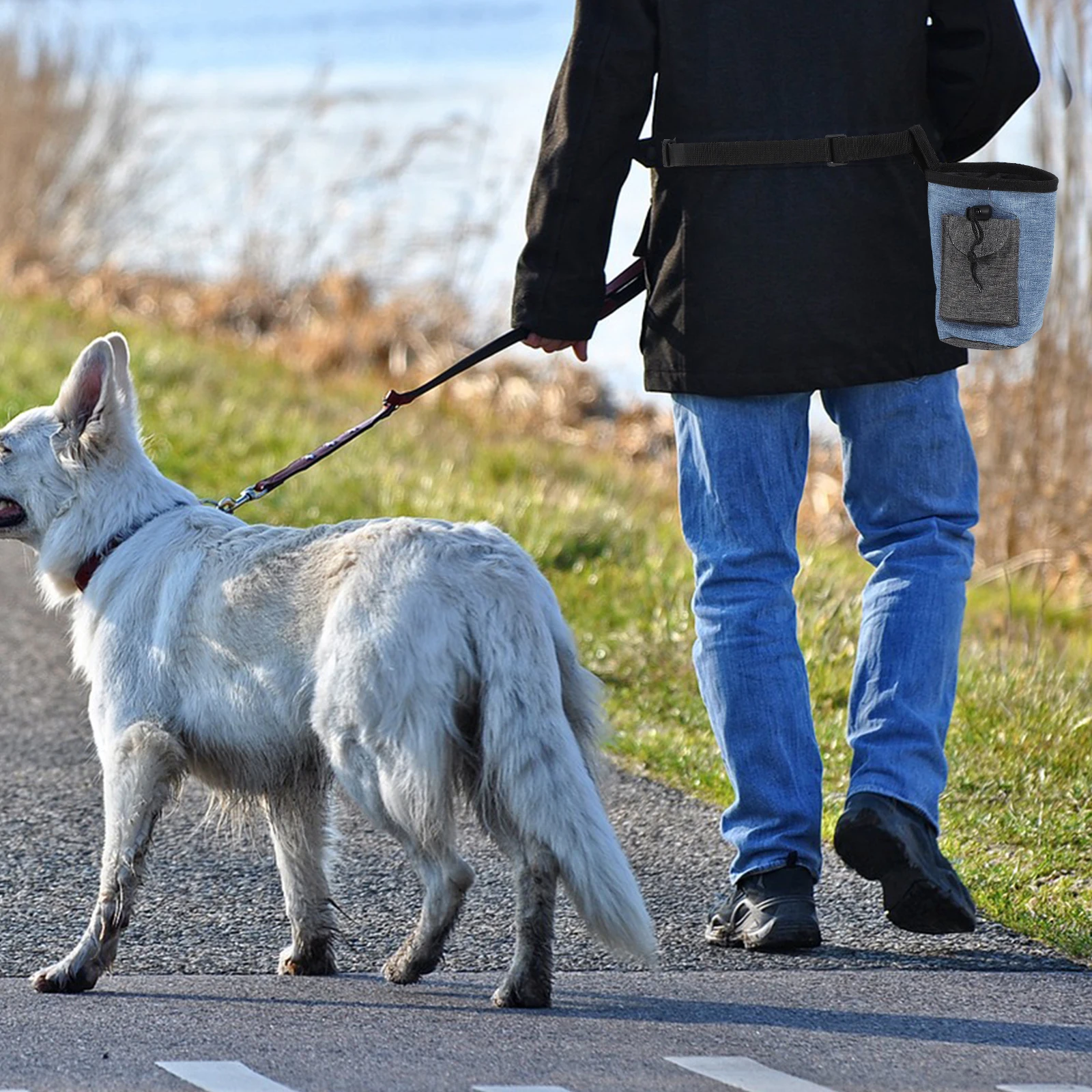 Pet Treat Bag Walking Small Dog Travel Pouch Waterproof Snack Bags Puppy Training Holder
Pet Treat Bag Walking Small Dog Travel Pouch Waterproof Snack Bags Puppy Training Holder