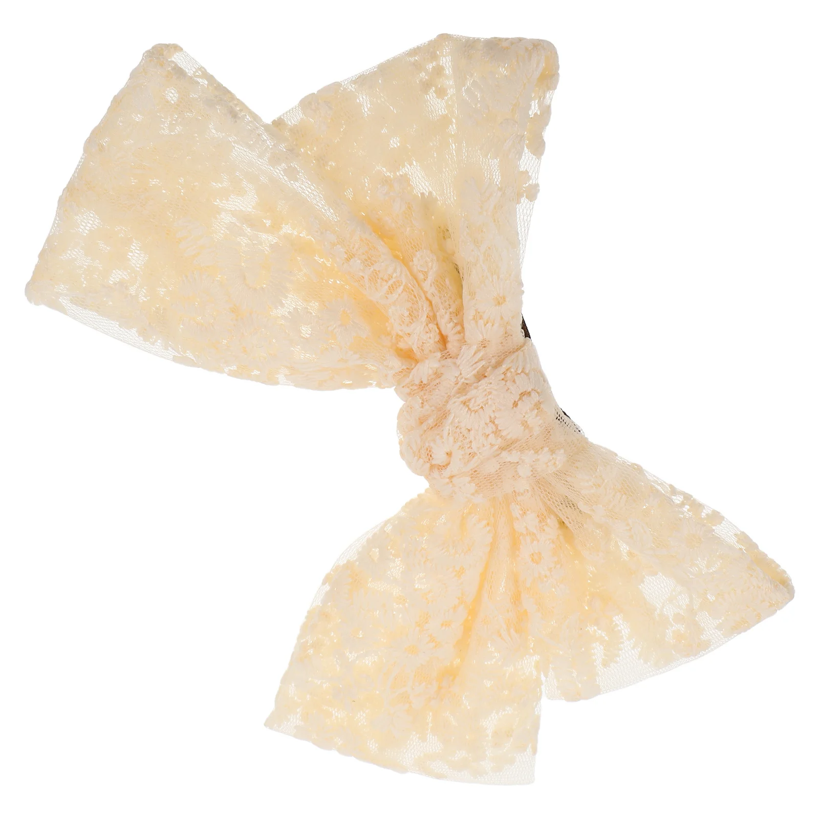 Lace Hair Accessories Large Bow Clip Bridesmaid Bridal Ties Fabric Solid Ribbon Woman Girl Sweet Elegant Durability
Lace Hair Accessories Large Bow Clip Bridesmaid Bridal Ties Fabric Solid Ribbon Woman Girl Sweet Elegant Durability