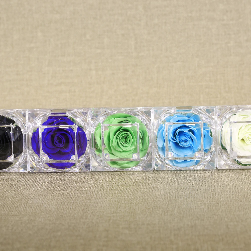 1pcs Preserved Flower Box Rose Handmade Flowers Glass Dome Decoration Home Wedding Valentines Anniversary Birthday
1pcs Preserved Flower Box Rose Handmade Flowers Glass Dome Decoration Home Wedding Valentines Anniversary Birthday
