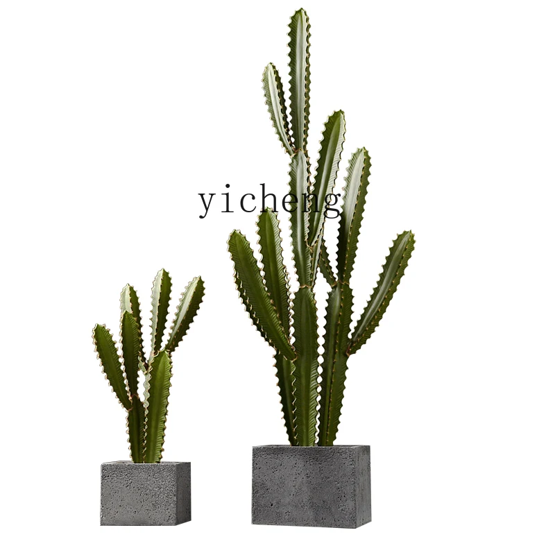 ZK Nordic floor simulation green plant potted plant ornament tropical plant cactus ornament living room interior decoration
ZK Nordic floor simulation green plant potted plant ornament tropical plant cactus ornament living room interior decoration