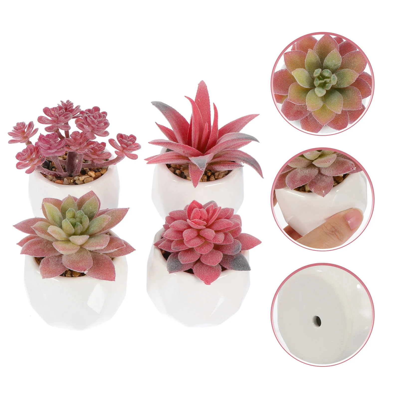 4Pcs Artificial Potted Succulent Modern Simulation Bonsai Decorative Flower Decor Home Supplies Plastic Bonsai Adornments
4Pcs Artificial Potted Succulent Modern Simulation Bonsai Decorative Flower Decor Home Supplies Plastic Bonsai Adornments