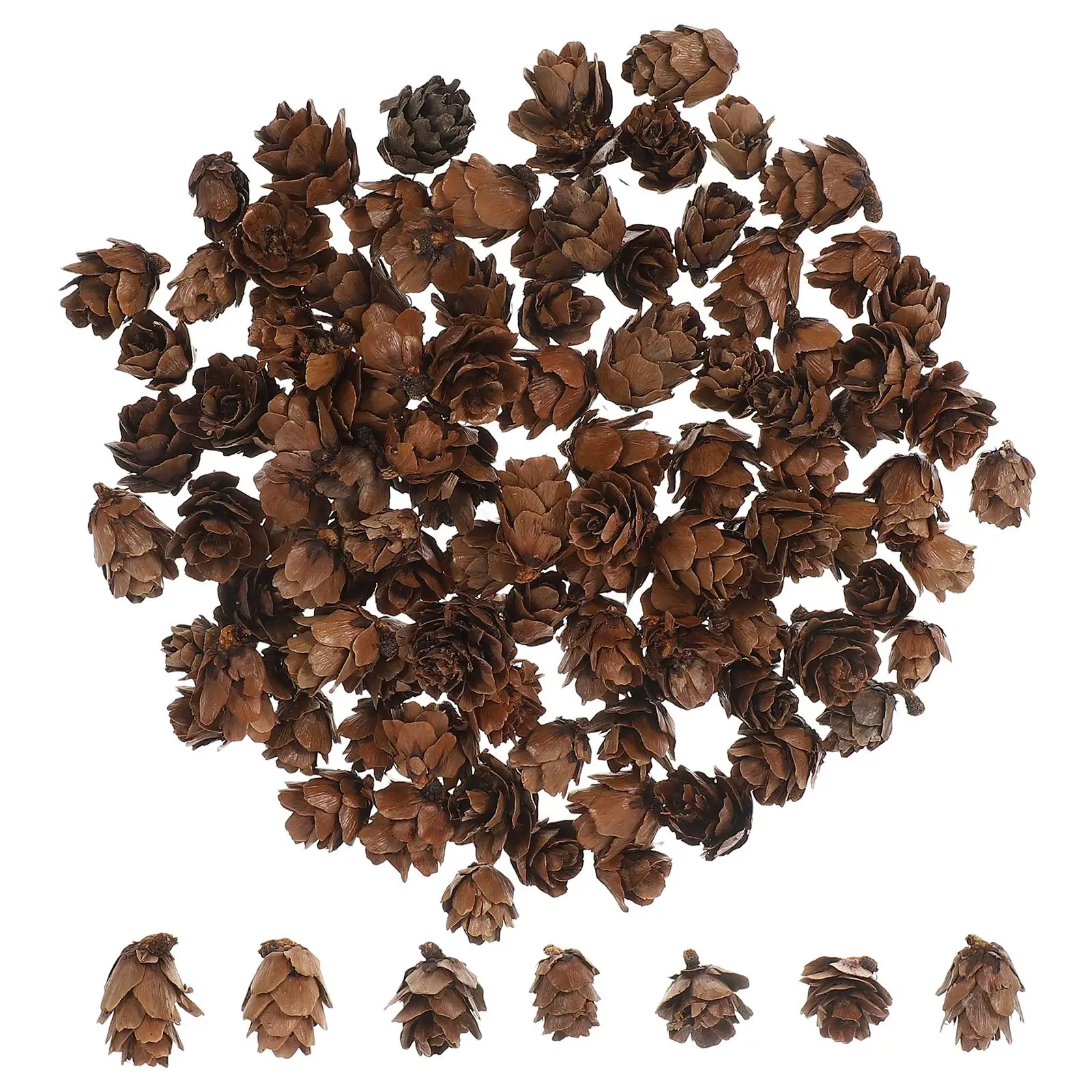 100 Pcs Pine Flower Decorations Christmas Garland Plant Pinecone Ornaments for Tree Cones Wooden
100 Pcs Pine Flower Decorations Christmas Garland Plant Pinecone Ornaments for Tree Cones Wooden