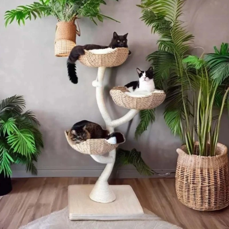 Wooden Cat Tree Pet Furniture Cats Tower Woven Kitten Springboard Living Room Trees Removable Cat Kittens Bed Accessories Trees
Wooden Cat Tree Pet Furniture Cats Tower Woven Kitten Springboard Living Room Trees Removable Cat Kittens Bed Accessories Trees