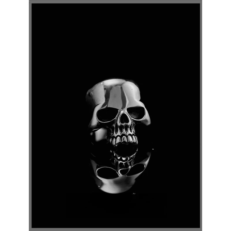 Retro Black Steel Classic Skull Titanium Steel Ring European and American Dark Niche Personality Ins Ring
Retro Black Steel Classic Skull Titanium Steel Ring European and American Dark Niche Personality Ins Ring