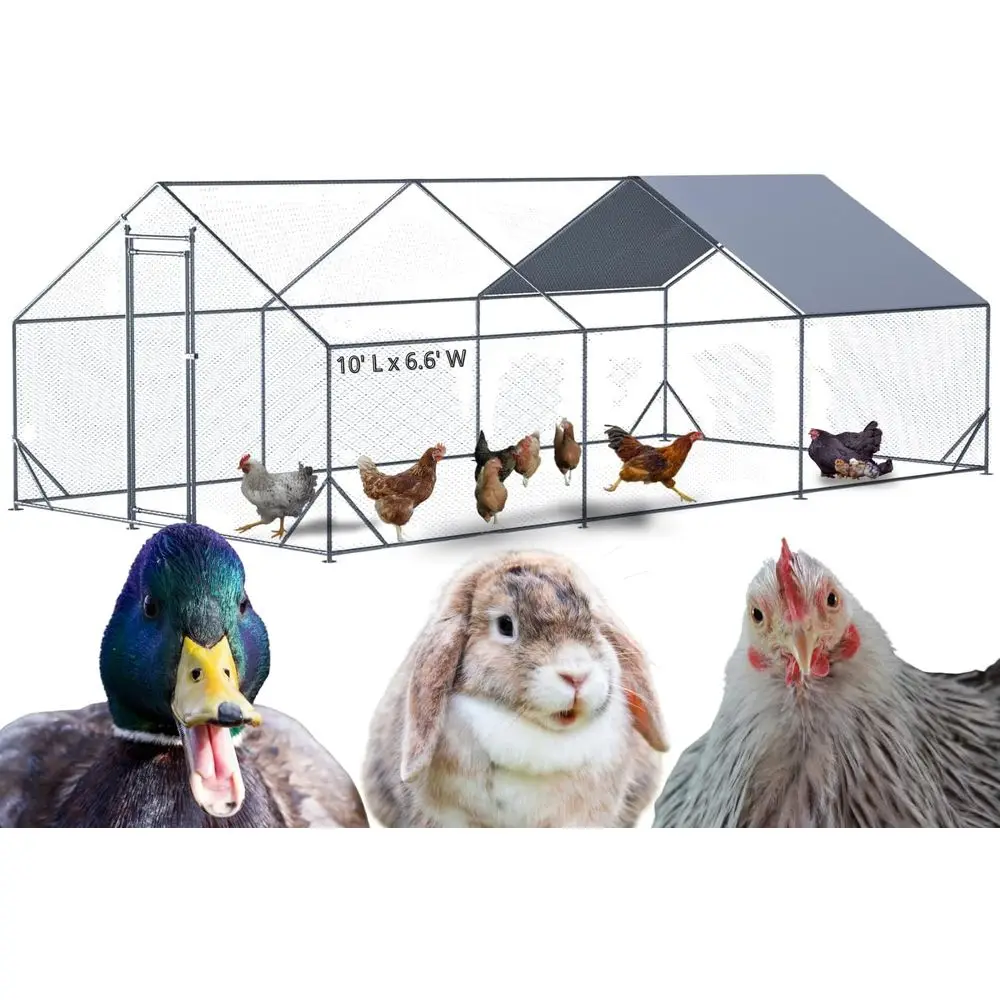 Прочный металлический курятник размером 10x6,6x6,56 футов с устойчивым к атмосферным воздействиям чехлом для кур, уток и кроликов.
Прочный металлический курятник размером 10x6,6x6,56 футов с устойчивым к атмосферным воздействиям чехлом для кур, уток и кроликов.