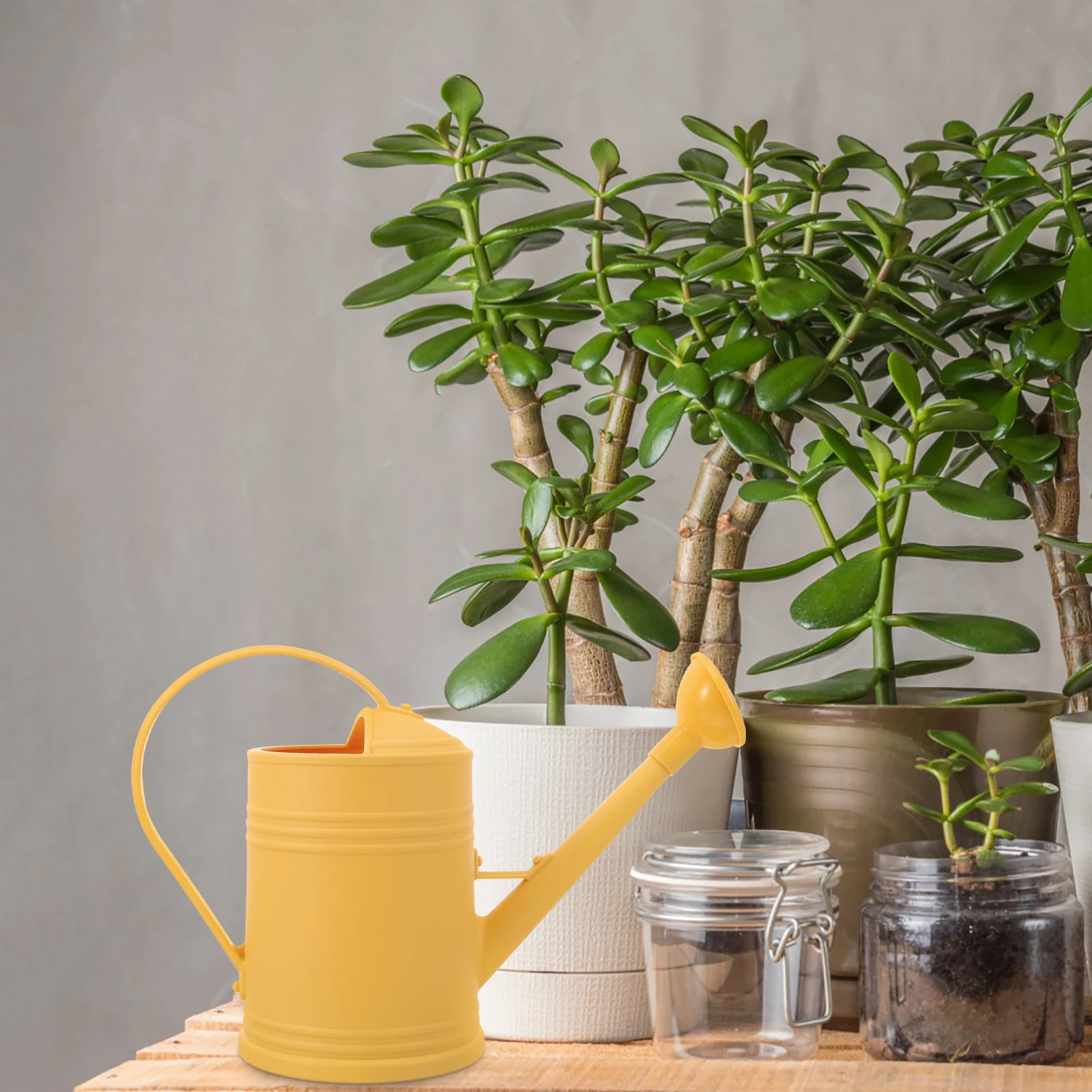 Thickened Sprinkler Watering Can Large Capacity Long Spout Plastic Material Comfortable Grip Use Black Color
Thickened Sprinkler Watering Can Large Capacity Long Spout Plastic Material Comfortable Grip Use Black Color