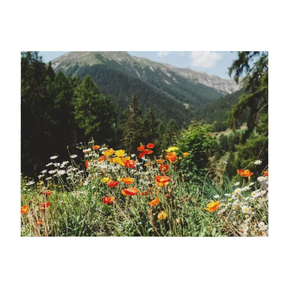 Mountain garden Throw Blanket Soft Plaid Furrys decorative wednesday Blankets
Mountain garden Throw Blanket Soft Plaid Furrys decorative wednesday Blankets