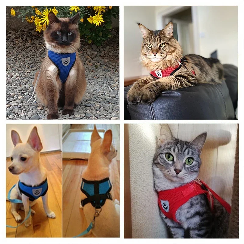 Pet Harness Adjustable Vest Walking Traction Rope Set for Dog Collar Breathable Mesh Harness for Small Medium Cat Collar
Pet Harness Adjustable Vest Walking Traction Rope Set for Dog Collar Breathable Mesh Harness for Small Medium Cat Collar