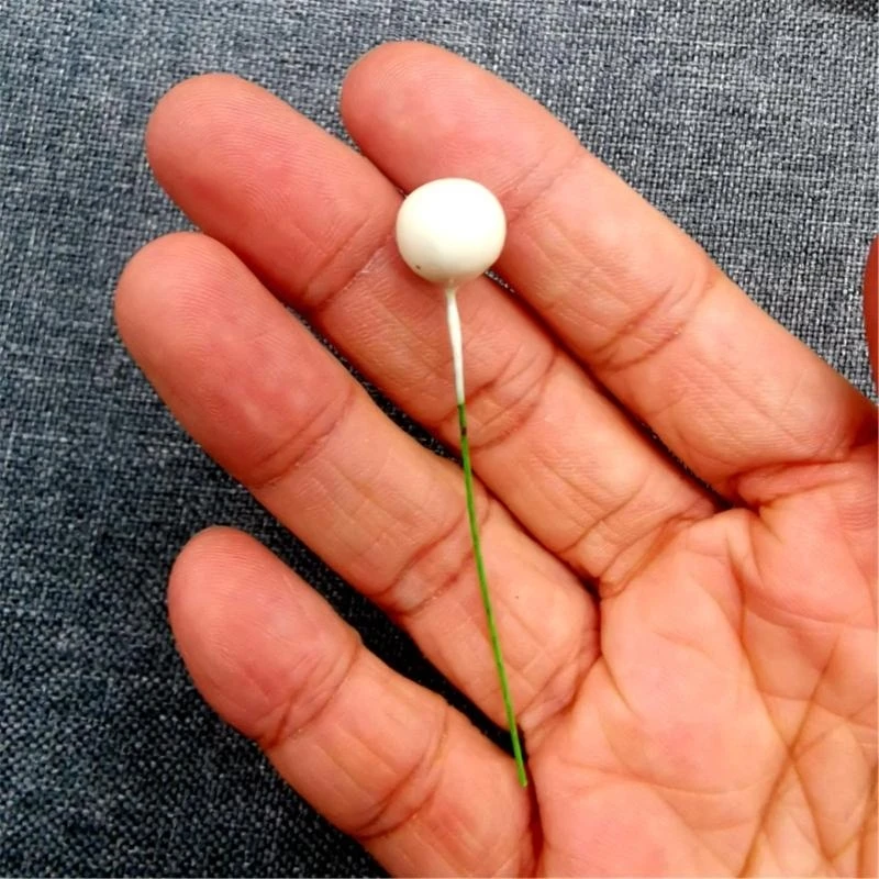 Искусственные ягоды Холли, рождественские поддельные ягоды для изготовления венков своими руками, товары для рукоделия 15UB
Искусственные ягоды Холли, рождественские поддельные ягоды для изготовления венков своими руками, товары для рукоделия 15UB