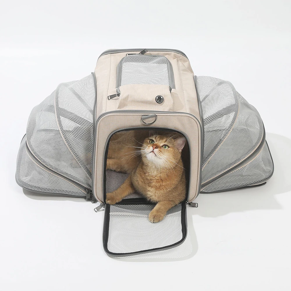 Расширяемая сумка-переноска для маленьких собак, одобренная авиакомпанией, автомобильная дорожная переноска для домашних животных для 2 кошек, портативная дышащая сумка для домашних животных
Расширяемая сумка-переноска для маленьких собак, одобренная авиакомпанией, автомобильная дорожная переноска для домашних животных для 2 кошек, портативная дышащая сумка для домашних животных