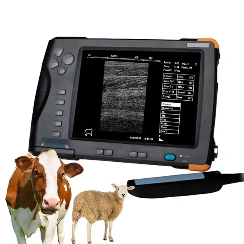 TLF Veterinary Equipment Ultrasound Portable Ultrasound Machine Cattle Sheep Veterinary Ultrasound Machine for Veterinary Use
TLF Veterinary Equipment Ultrasound Portable Ultrasound Machine Cattle Sheep Veterinary Ultrasound Machine for Veterinary Use