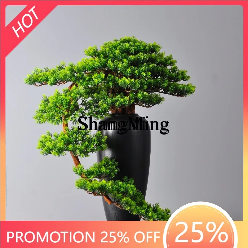 CL Simulation Welcome Pine Bonsai Ornament Living Room Decoration Ornament
CL Simulation Welcome Pine Bonsai Ornament Living Room Decoration Ornament