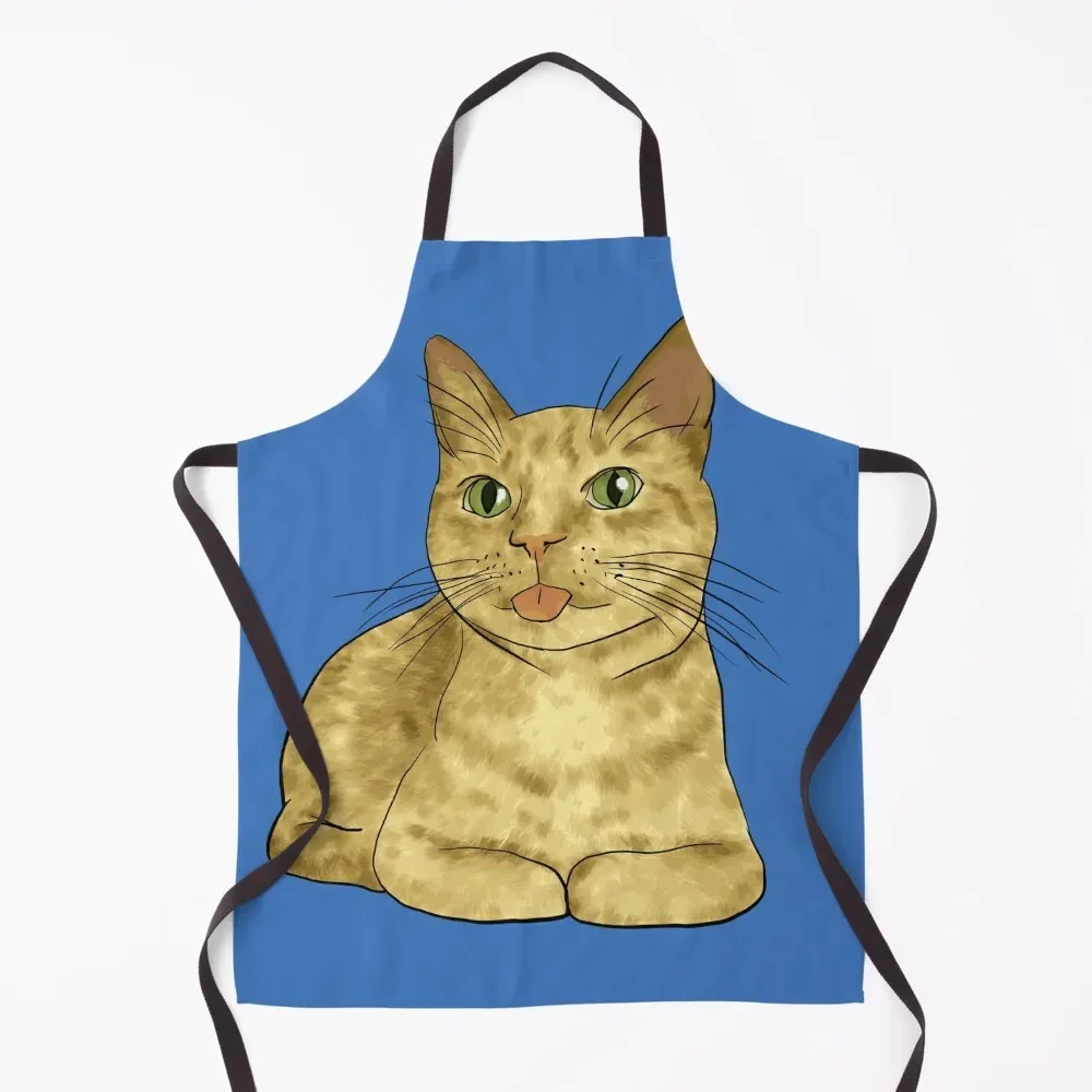 Фартук Silly Orange Tabby Cat, мужские вещи для дома, аксессуары для шеф-повара, фартук
Фартук Silly Orange Tabby Cat, мужские вещи для дома, аксессуары для шеф-повара, фартук