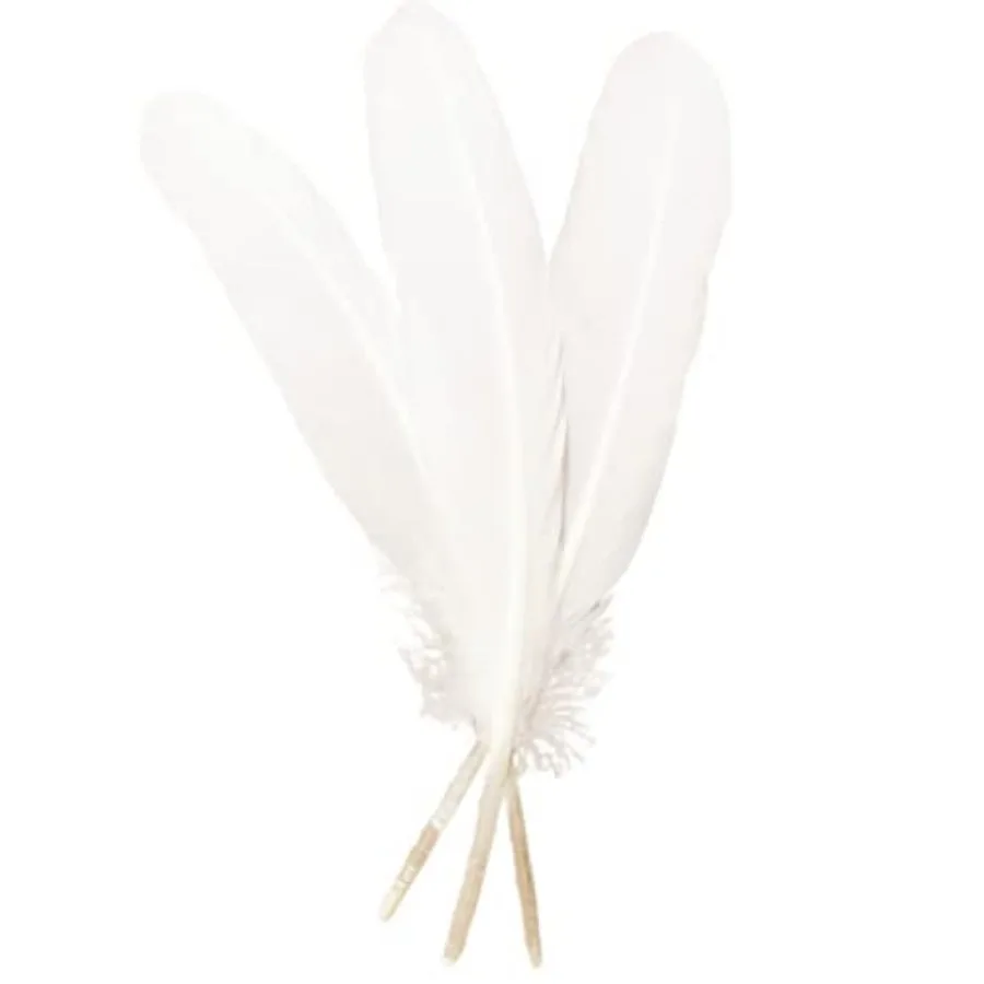 50pcs White Feathers 8~0 in, Beautiful Bulk Long Feather for Crafts 2-25CM,Big Size Bilateral Natural Goose Feather, for Weddin
50pcs White Feathers 8~0 in, Beautiful Bulk Long Feather for Crafts 2-25CM,Big Size Bilateral Natural Goose Feather, for Weddin