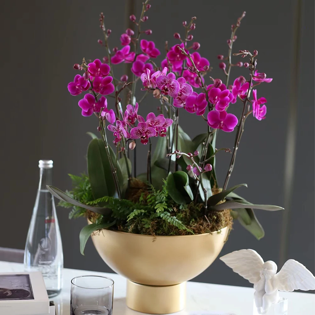 Metal Flower Pot Large Opening High Base Planter Smooth Surface Indoor Plants Bonsai Cactus Modern Style Garden Home Decor
Metal Flower Pot Large Opening High Base Planter Smooth Surface Indoor Plants Bonsai Cactus Modern Style Garden Home Decor