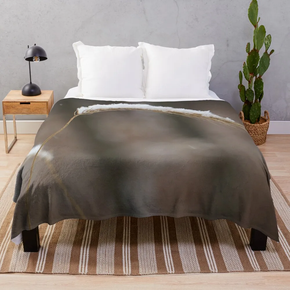 Winter Wheat in the Snow Throw Blanket Blankets Sofas Of Decoration Beach Blankets
Winter Wheat in the Snow Throw Blanket Blankets Sofas Of Decoration Beach Blankets