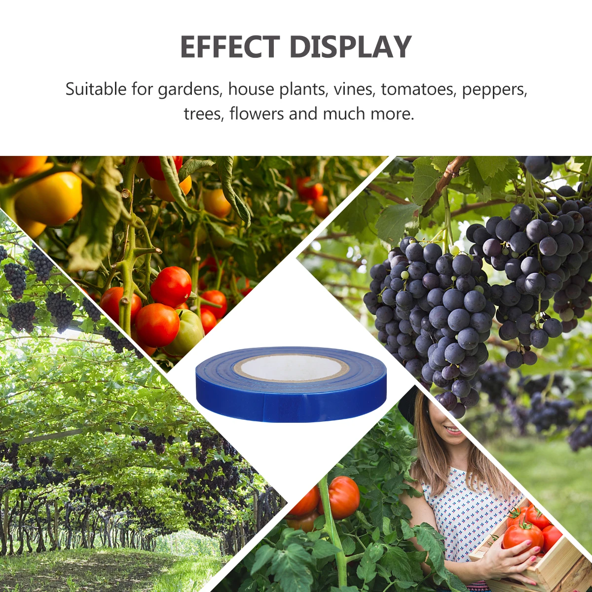 10Pcs Blue 30m Plant Tying Machine Tape EcoFriendly Adjustable Binding Vine Support
10Pcs Blue 30m Plant Tying Machine Tape EcoFriendly Adjustable Binding Vine Support